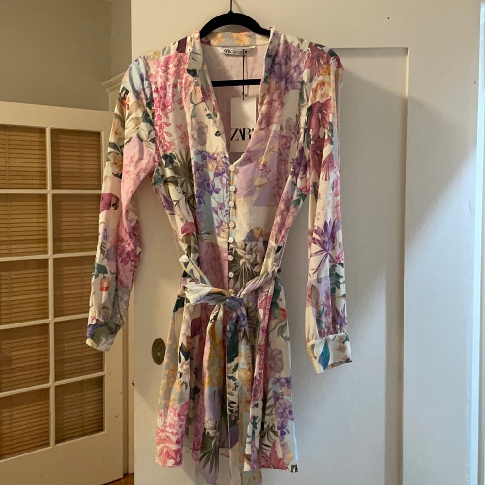 The Famous Zara Dress